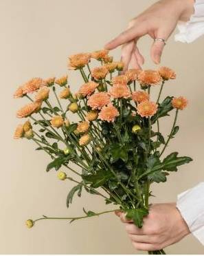 Floristry legal overview
