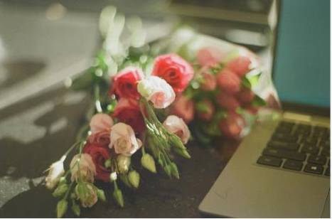 Online floristry background