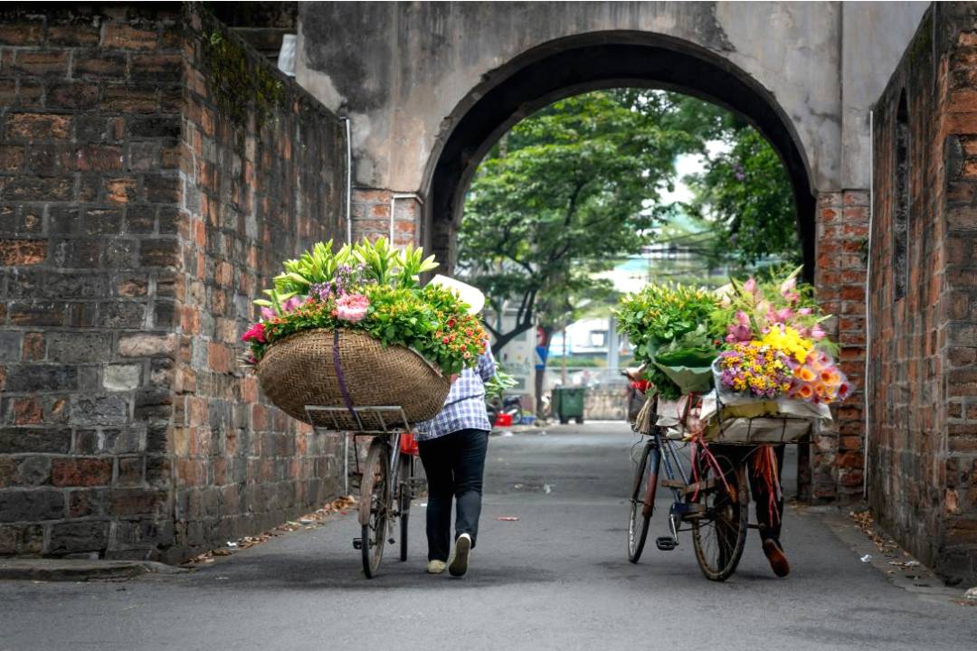 Sustainable floristry background